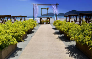 DSC0659.jpg